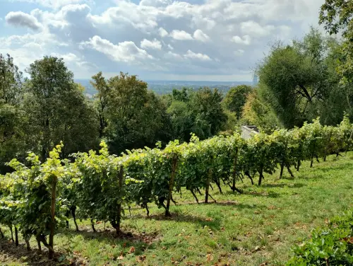 Venezia, premiati i giovani innovatori di VeneTo Stars tra agricoltura smart e spazio