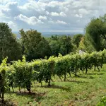 Venezia, premiati i giovani innovatori di VeneTo Stars tra agricoltura smart e spazio
