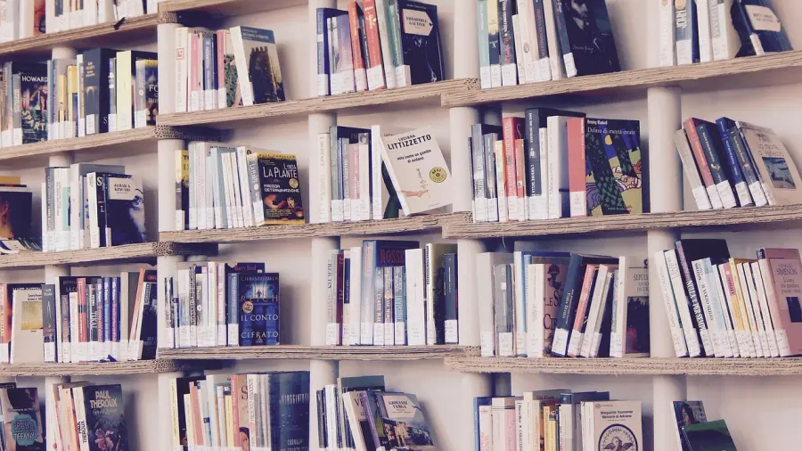 Servizio Civile Universale, opportunità a Rovigo: due posti alla Biblioteca del Seminario