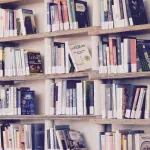 Servizio Civile Universale, opportunità a Rovigo: due posti alla Biblioteca del Seminario