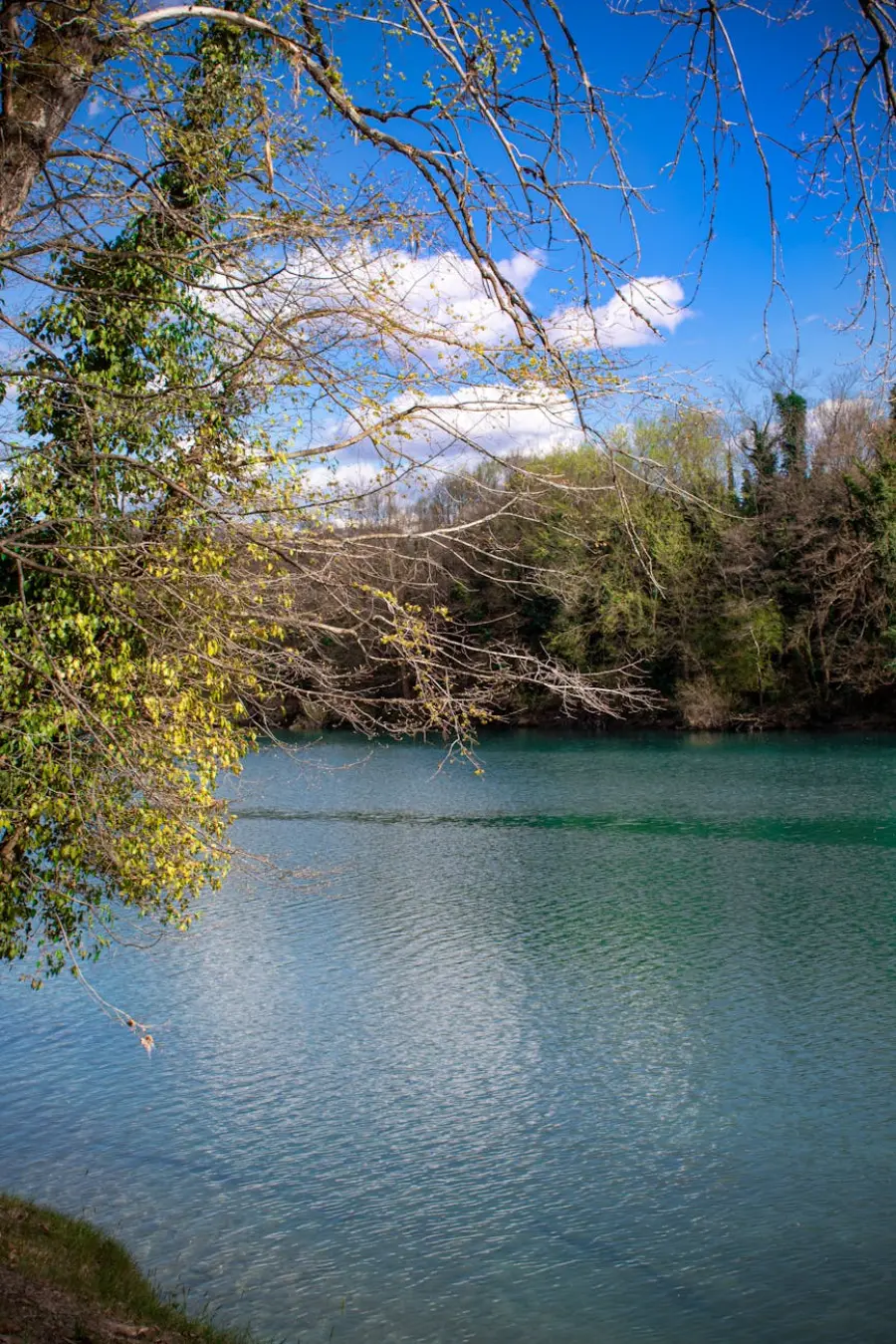 Piave, confronto in Regione sulla difesa idraulica del medio e basso corso