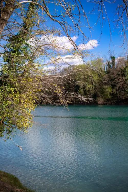 Piave, confronto in Regione sulla difesa idraulica del medio e basso corso