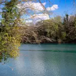 Piave, confronto in Regione sulla difesa idraulica del medio e basso corso