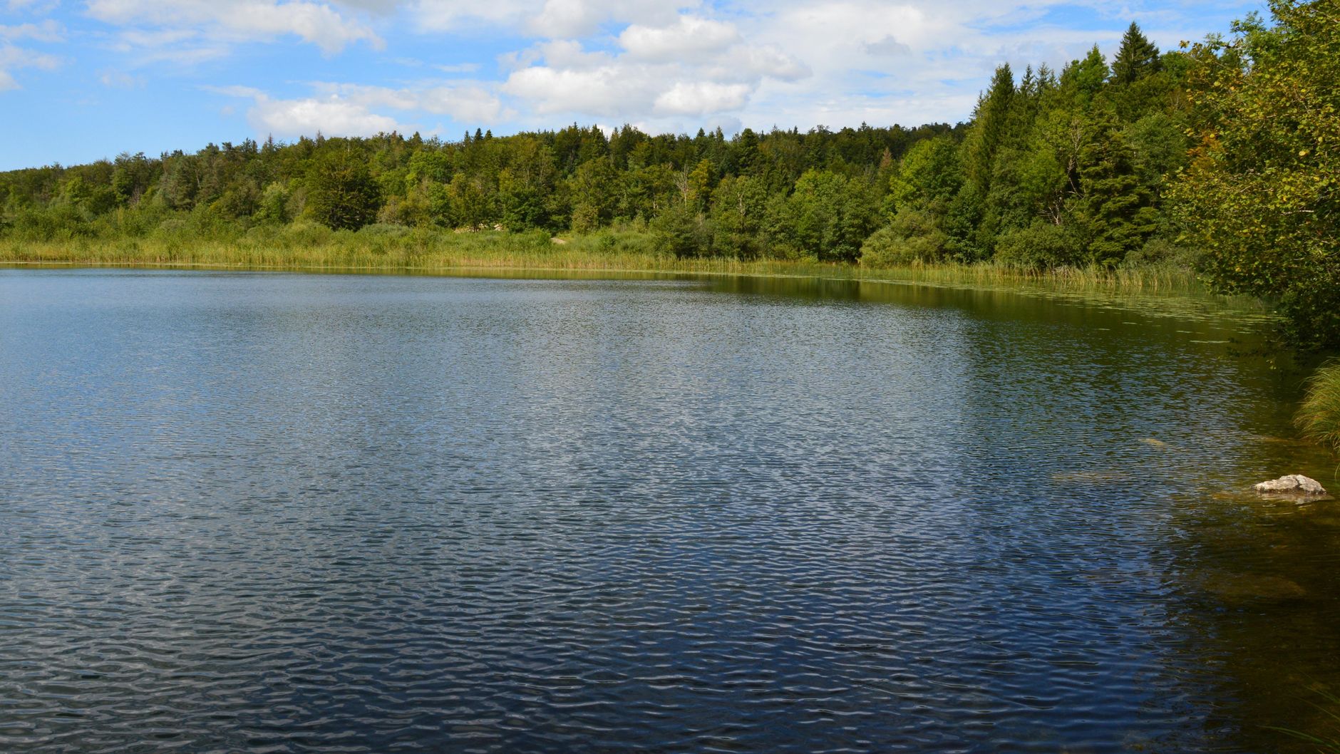 Cinque Vele in Veneto, premiati lago del Mis e Santa Croce