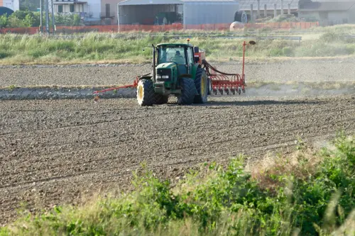 Economia di Rovigo: agricoltura e sfide del Polesine