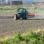 Economia di Rovigo: agricoltura e sfide del Polesine