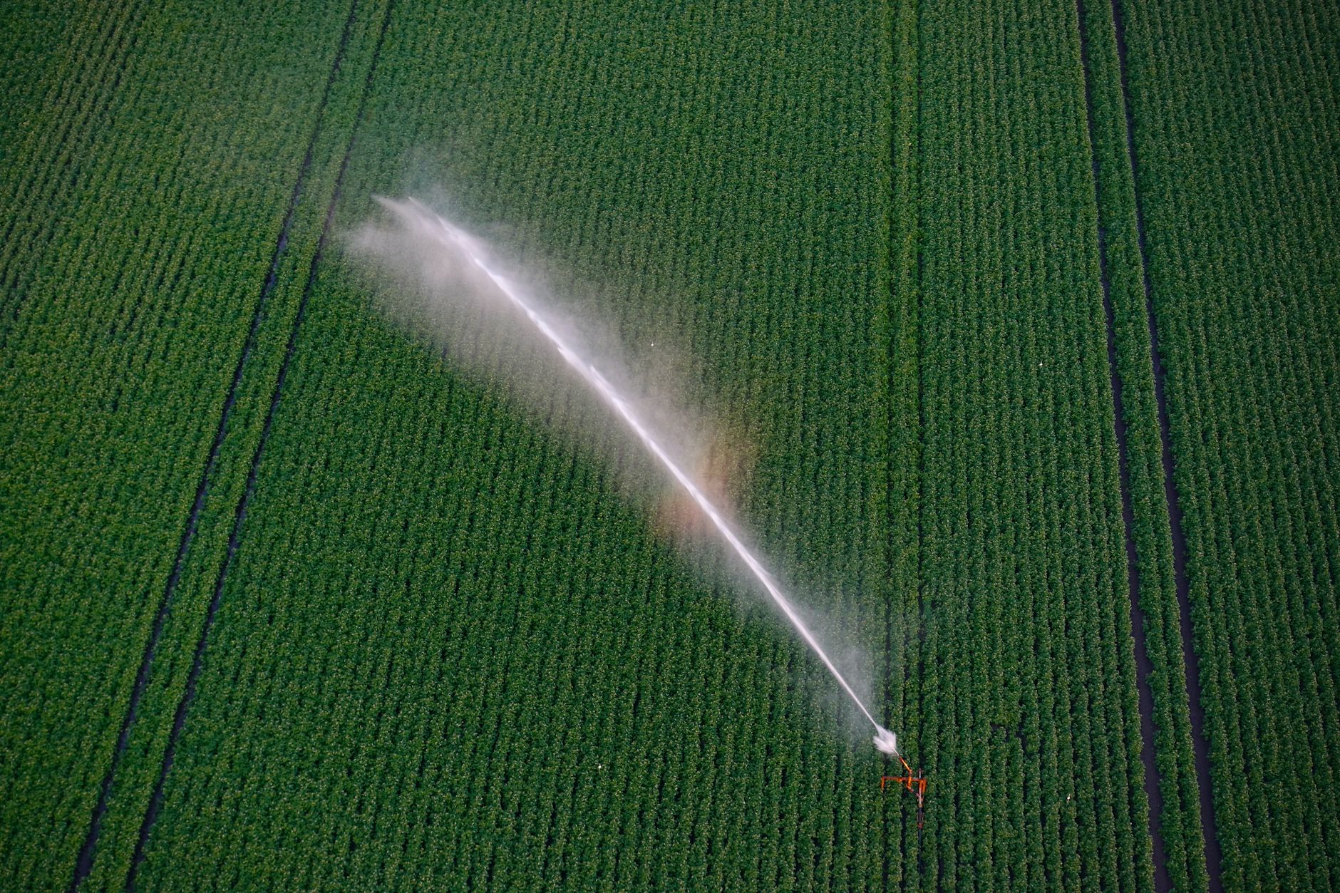 Veneto, Bond incontra i consorzi sul nodo acqua per l’agricoltura