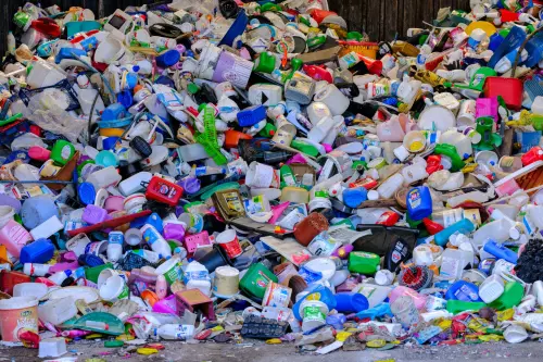 Plastic Free inaugura la nuova sede a Rovigo e prepara il calendario degli eventi ambientali
