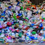 Plastic Free inaugura la nuova sede a Rovigo e prepara il calendario degli eventi ambientali