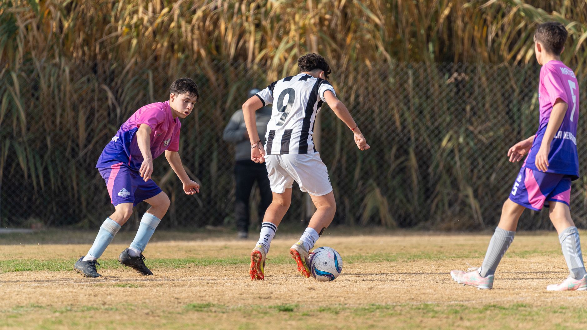 Rovigo, qualità della vita e sport: dati presentati il 20 luglio