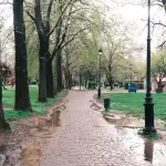 Rovigo, maltempo: chiuso il Parco Iras per controlli