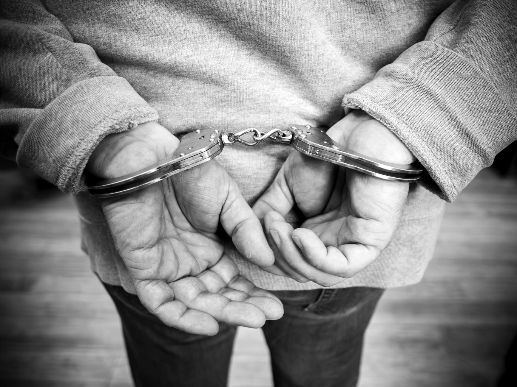 Pedopornografia a Rovigo, due arresti: il plauso di Stefani