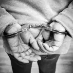 Pedopornografia a Rovigo, due arresti: il plauso di Stefani