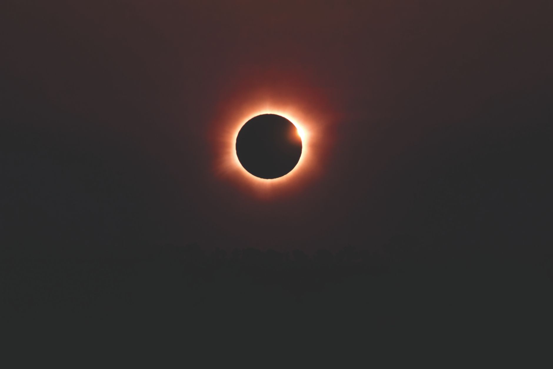 Rovigo, tre serate tra Perseidi ed eclissi all’Osservatorio