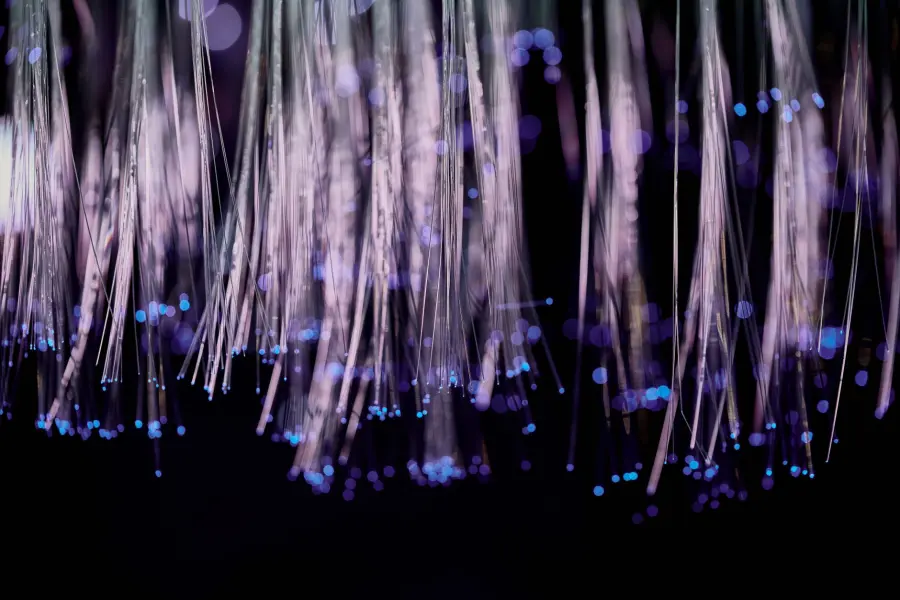 Rovigo, FiberCop amplia la fibra ottica: rete fino a 10 Gigabit