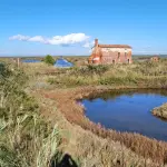 Delta del Po: storia e biodiversità del grande delta