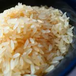 Cosa mangiare a Rovigo: piatti tipici rodigini e cucina del Polesine