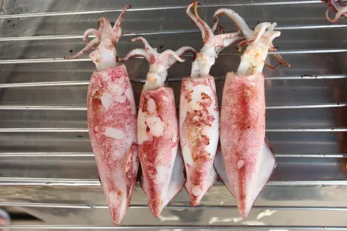 Come pulire i calamari: guida semplice passo dopo passo