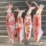 Come pulire i calamari: guida semplice passo dopo passo