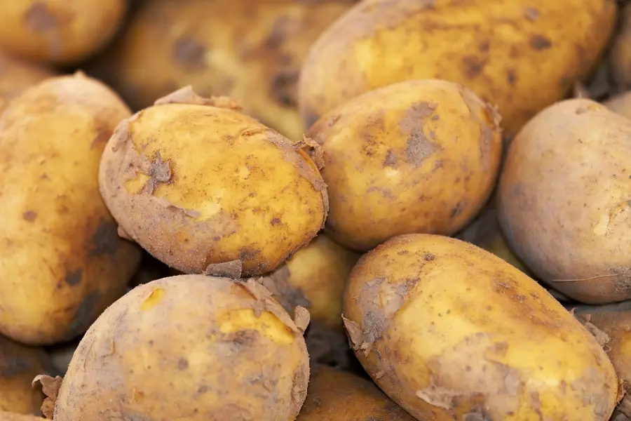 Come conservare le patate: metodi corretti e consigli utili