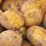 Come conservare le patate: metodi corretti e consigli utili