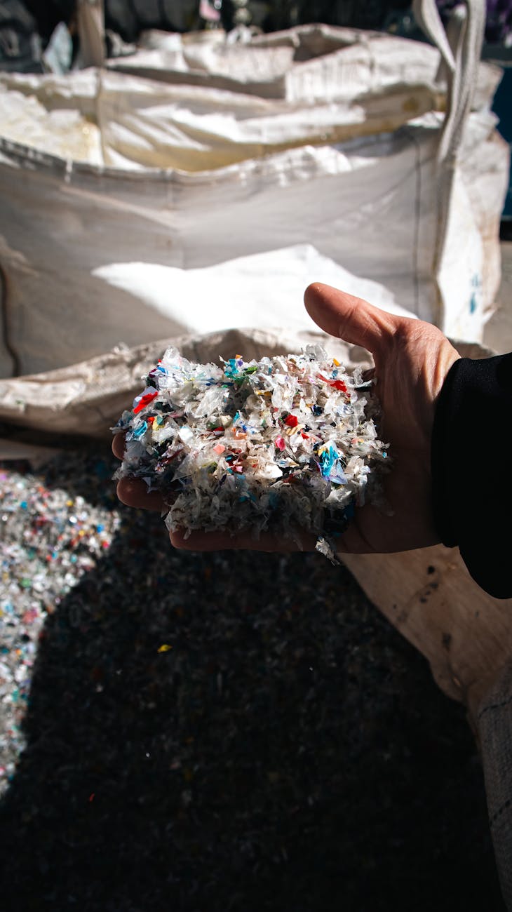 Rovigo, 160 studenti analizzano i dati sull’inquinamento da plastica