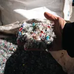 Rovigo, 160 studenti analizzano i dati sull’inquinamento da plastica